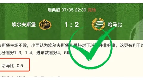 体育 1，BOB体育，05950 78
